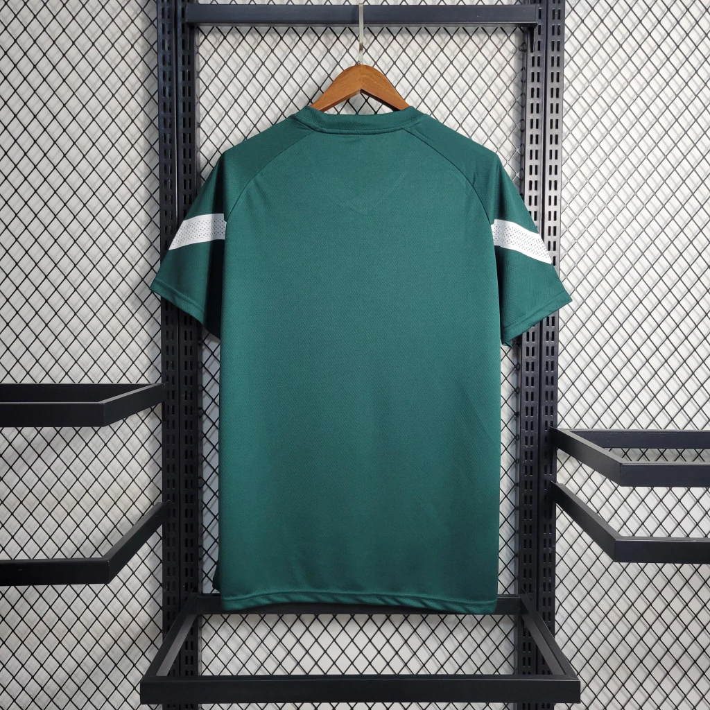 Camisa do Palmeiras Treino 2023-2024 Camisa do Palmeiras Treino 2023-2024