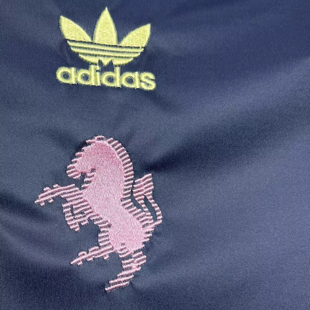 Camisa da Juventus EE 2024-2025 Camisa da Juventus EE 2024-2025